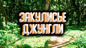 Закулисье - уровень 37 / "Добро пожаловать в джунгли"