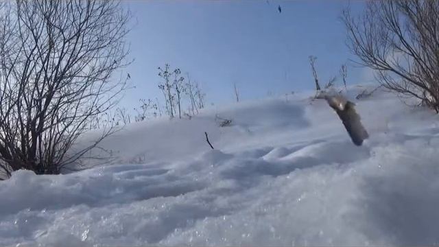 Денис 86 рус|Кто куда,а мы на рыбалку(20/02/2018г) смотреть онлайн