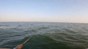 Огромные скаты ломают спиннинги !!! Рыбалка на ската в Очакове + ловля ставриды с лодки.