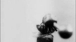 Немое кино  / МУХА - АКРОБАТ 1910 г