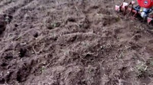 Мотоблок Кадви "Угра" НМБ-1Н7 + навесное ВРМЗ + целина или "Летопись нашего картофельника"
