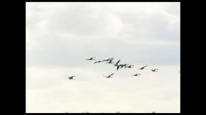 Георгий Свиридов  "Я покинул родимый дом..".