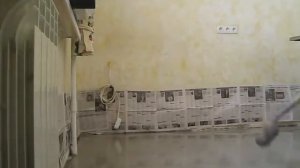 Выравнивание пола самовыравнивающими смесями