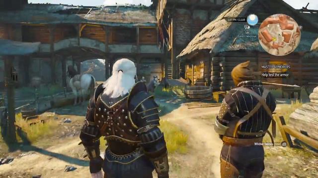 The Witcher 3: Wild Hunt - Armor Test смотреть онлайн
