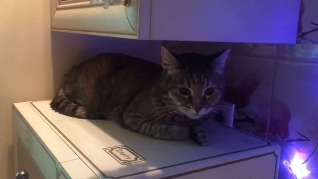 Моя старшенькая - кукленыш 😍💞☺️ смотреть онлайн