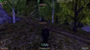 Ужас Кладбища и как стать Черным Рыцарем | Некромант | Готика 2 Новый Баланс | Серия 11