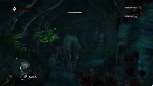 Assassins Creed IV Black Flag | treasure map 479, 487