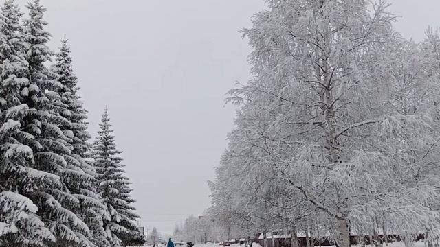 Усинск. "Снежные бабочки" смотреть онлайн
