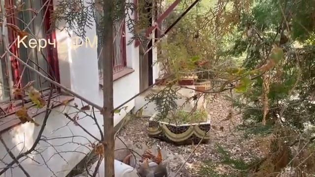 Территорию бывшего детского санатория "Керчь" угробим, но детям не отдадим смотреть онлайн