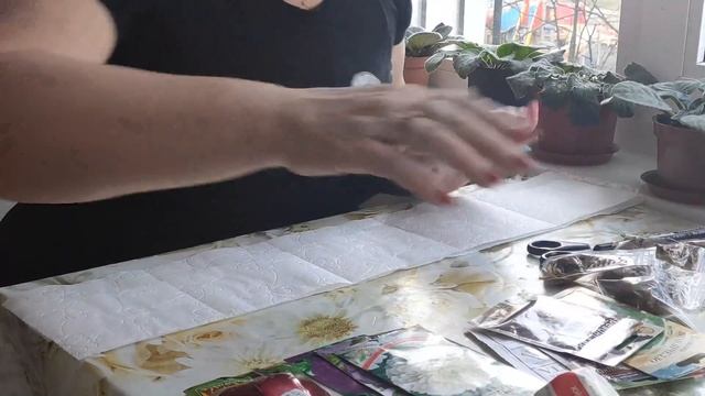 Базилик, свекла, цветы. Сажаем в пеленки. смотреть онлайн