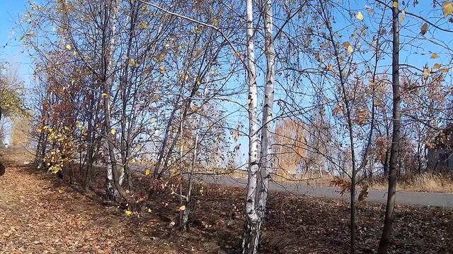 29 октября-День ЛОНГИНА СОТНИКА.Ревизия зимней одежды.Защитник от болезней глаз.Народные приметы смотреть онлайн