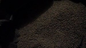 Какого качества должен быть комбикорм для кроликов