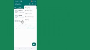 как в WhatsApp не использовать двойную галочку Как убрать двойную галочку в сообщении WhatsAp (2024
