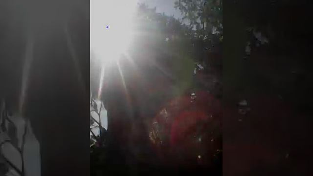 Мини влог||я на даче||уточки смотреть онлайн