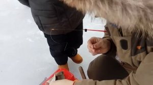 Как насаживать мотыля и опарыша. Зимняя рыбалка. Хороший улов плотва лещ окунь. Ловля улов зима.