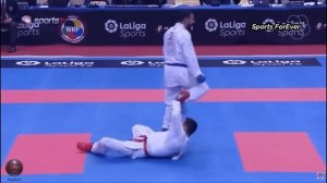 Best karate Knockouts (WKF)