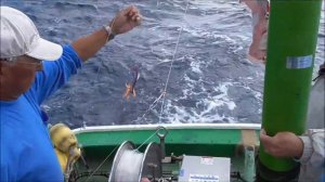 GREENSTICK FISHING IN JAPAN 2014 part1/6