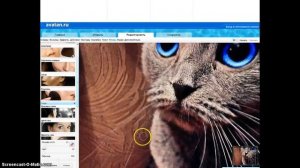Фотошопим в приложении "Avatan"
