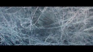 Станция 88 - Тизер (2019)