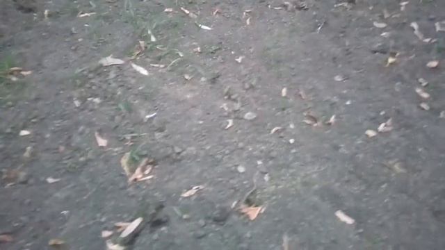 Выхино в дерьме смотреть онлайн