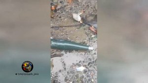 Воины отдельного казачьего отряда «Оскол» сбили под Клещеевкой ударный дрон нацистов.