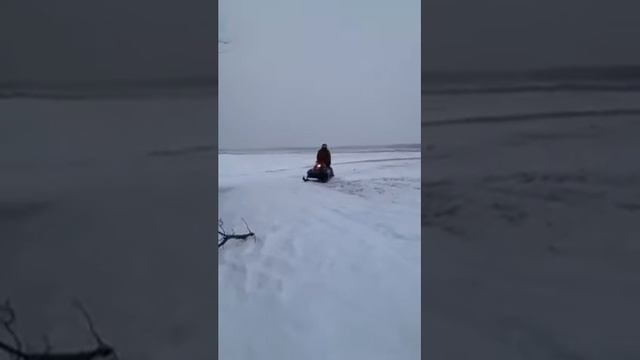 Arctic cat in the drifts смотреть онлайн