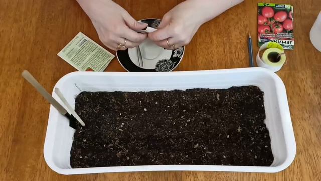 Посев семян томатов.