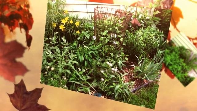 Украшение сада своими руками, простые идеи для оформления