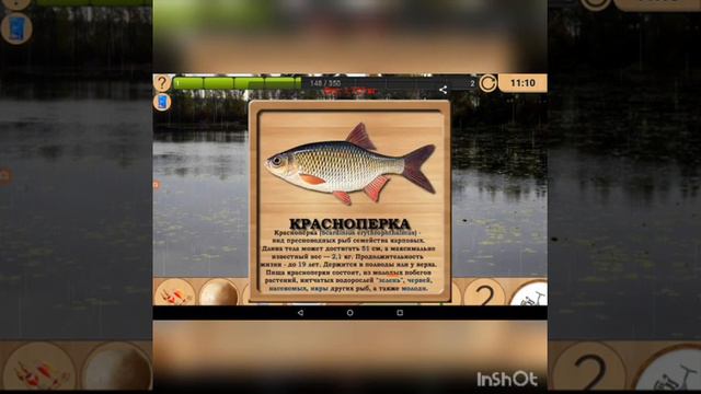 Реальная рыбалка часть 3 смотреть онлайн