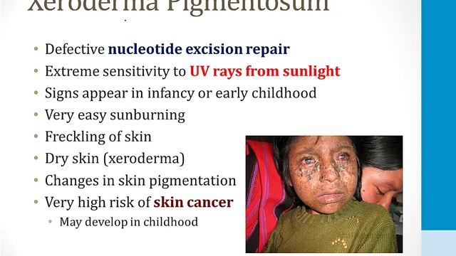 Клеточная биология USMLE - 1. Молекулярная биология - 3.Восстановление ДНК