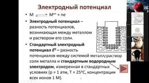 лекция 11 Электрохимия 1