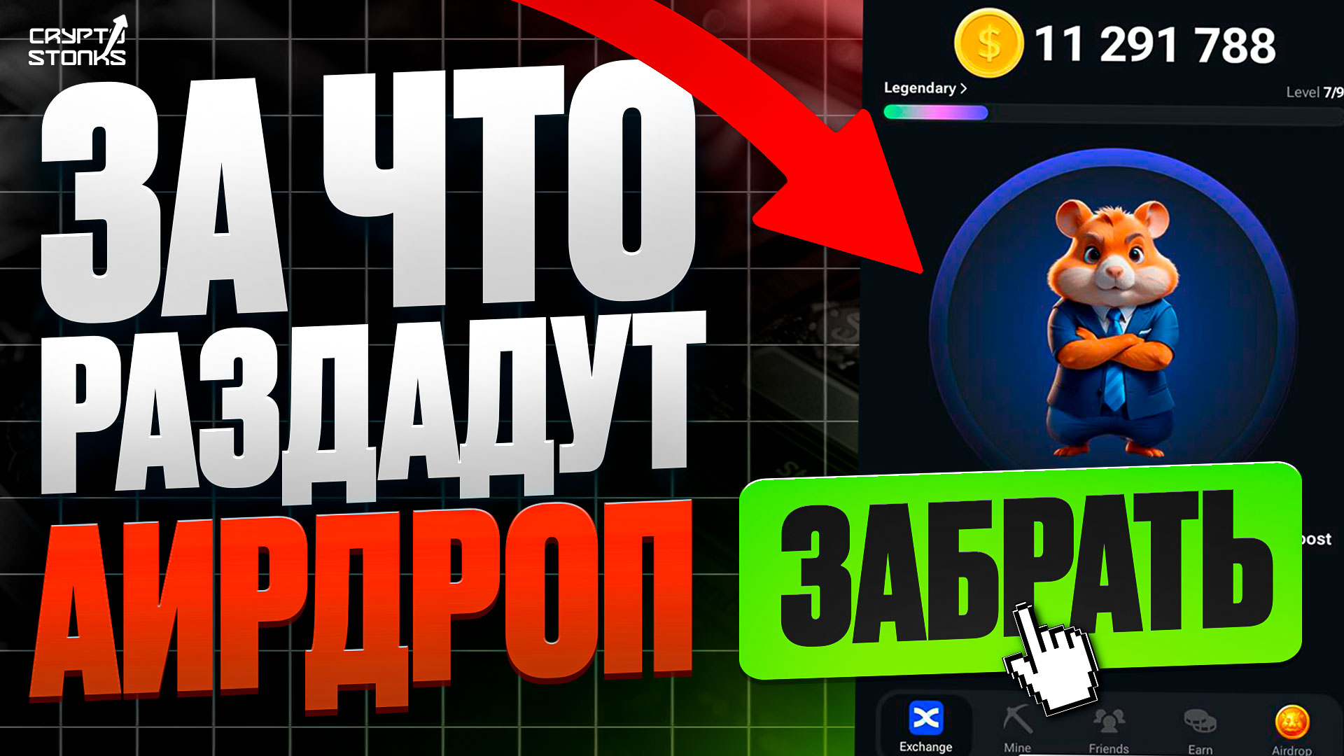 Хомяк комбат как выводить