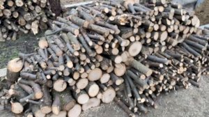 Ясен, дрова для обогрева перепелов