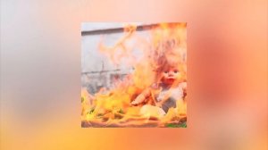 Ayesha Erotica - Where Is That Damn Baby (EP)