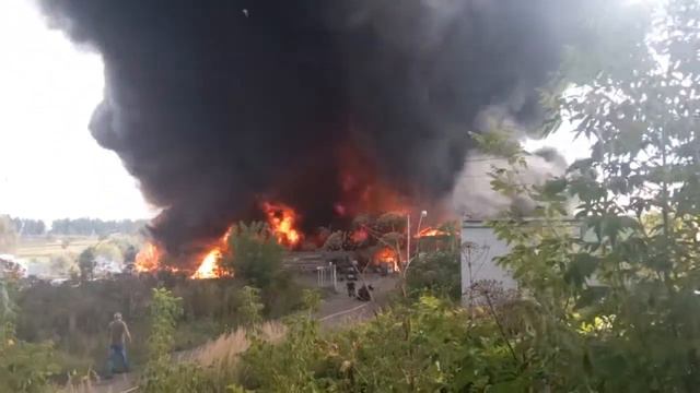 Пожар в п. Шишкин Лес 23 августа 2016 г. смотреть онлайн
