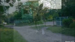 г.Артёмово, теперь Железное Донецкая область