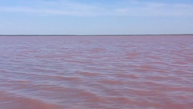 Алтайский край. Малиновое озеро смотреть онлайн