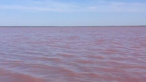 Алтайский край. Малиновое озеро