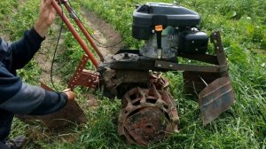 Окучивание картофеля легким мотокультиватором, показ и нюансы