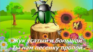 «ЖУК»