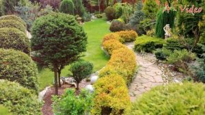 ?Красивый сад частного дома Лучшие примеры / Garden ideas / A - Video