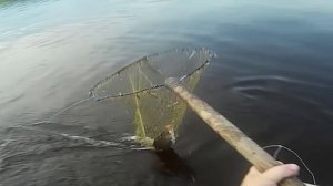 Рыбалка на продольники \ Первая проверка и ведро язя