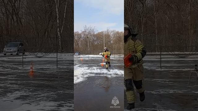 Вводная по ДТП