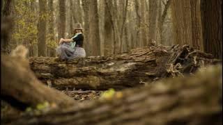Исцеляющие Звуки природы и музыка. Гармония мира. Журчание ручья, пение птиц, спокойная музыка.