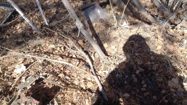 Поиск Меди И Металлолома У Дороги Без Металлоискателя.