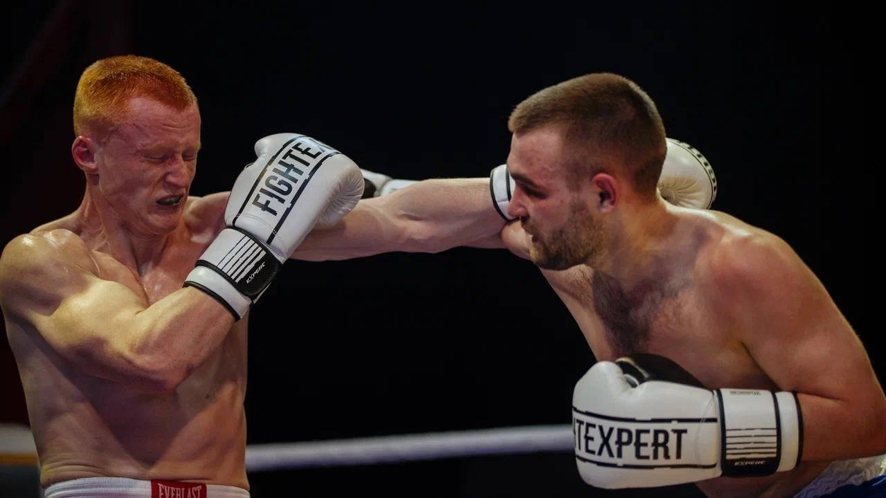 День боксера