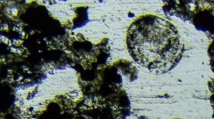 Метеорит каменный хондрит