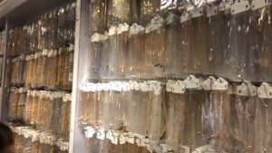 Рынок оптовый бижутерии в Китае/Рынок (оптовый) бижутерии в Гуанчжоу