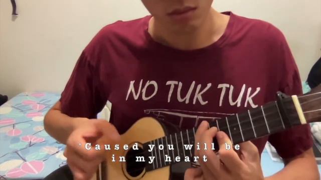 You'll be in my heart - Disney Tarzan 1999 (ukulele fingerstyle) смотреть онлайн