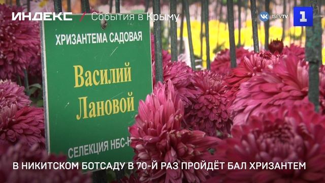 В Никитском ботсаду в 70 раз пройдёт Бал хризантем